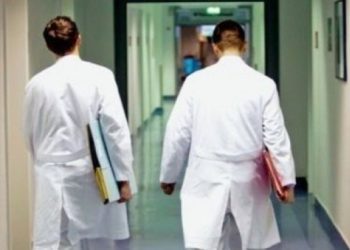 Projektligji për Paga, mantelbardhët potestojnë nesër