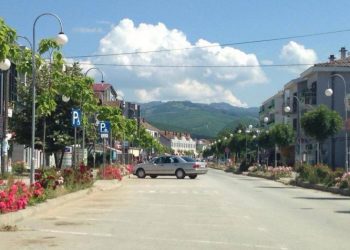 Policia kufitare, parandalon 2 raste të kontrabandës me kafshë në Goshicë të Vitisë