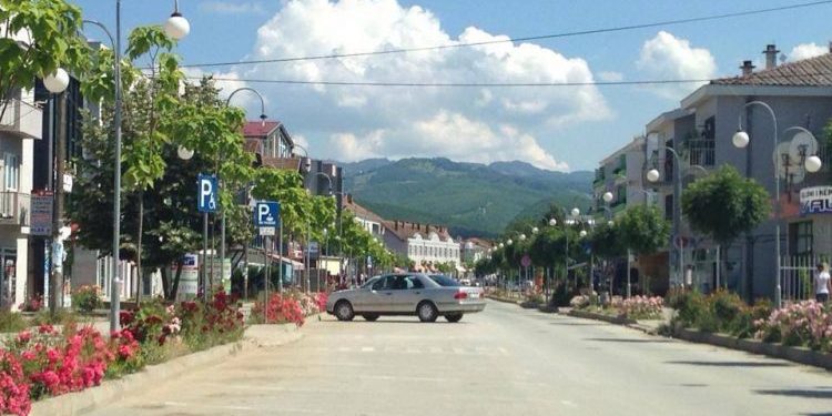 Policia kufitare, parandalon 2 raste të kontrabandës me kafshë në Goshicë të Vitisë