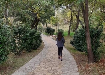 2 raste të zhdukjes në Viti, Policia jep detaje