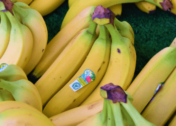 A e keni menduar ndonjëherë se çfarë simbolizojnë ngjitësit e bananeve?