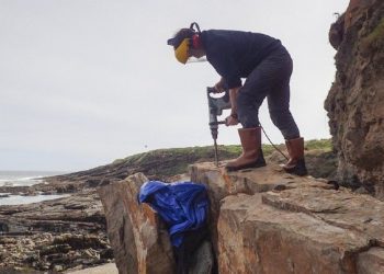 Gjendet fosili më i madh në plazhin e Northumberland të Anglisë