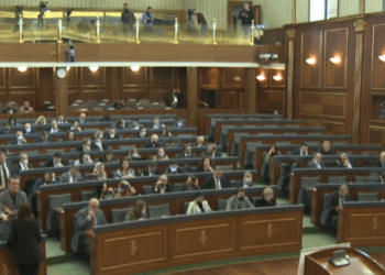 Ky është deputeti më i ri i Kuvendit të Kosovës nga Lëvizja Vetëvendosje