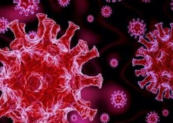 Gjithçka që duhet të dini rreth variantit Omicron?