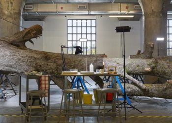 Kjo është pema 1.000 vjeçare që cilësohet si më e vjetra në botë