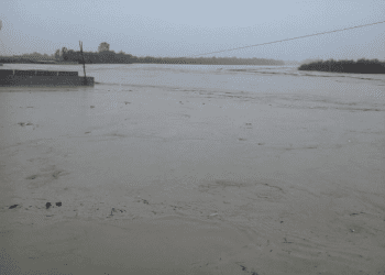 Rritet niveli i lumit Vjosë, në Vlorë janë evakuuar mbi 37 familje