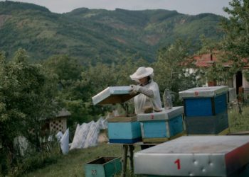 “Zgjoi” i nominuar për Oscar, Ambasada e SHBA-së në Kosovë: Lajm i mrekullueshëm