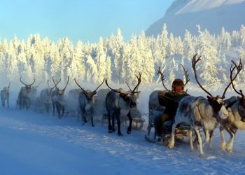Nuk janë vetëm te ne temperaturat e ulta, këto janë 7 vendet më të ftohta në botë!