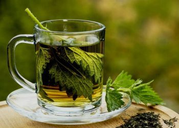 Këto janë përfitimet e çajit të majdanozit