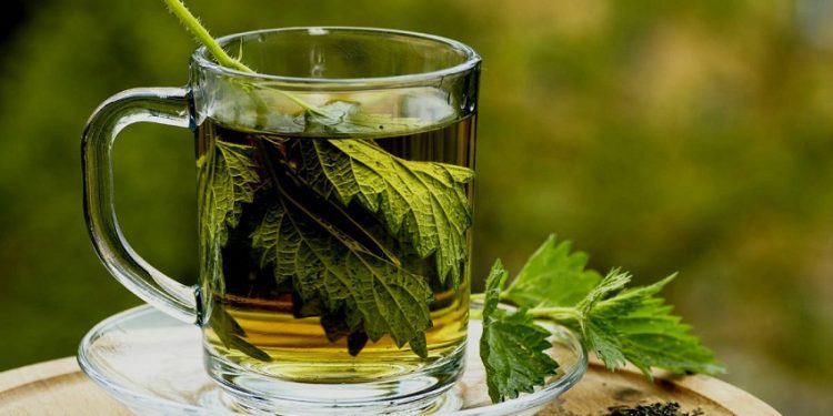 Këto janë përfitimet e çajit të majdanozit