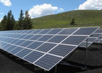 Fermat diellore mund të bëhen strehë për bletët