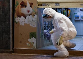 Në Hong Kong do të mbysin 2.000 kafshë që rezultuan pozitiv me koronavirus