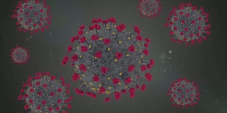 Vetëm 7 ditë karantinim për personat me koronavirus në Kosovë