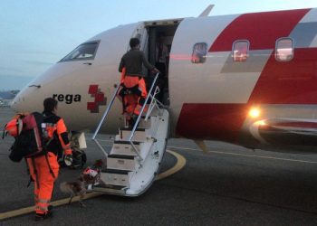 Disa lloje të ndihmave të shpejta