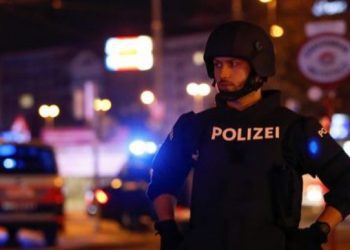 Vjenë, arrestohet shqiptari pasi që sulmoi nënën me fshesë dhe kërcënoi vëllain me thikë