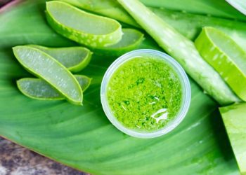 Aloe vera, këto janë të mirat që mund t’i fitoni nga kjo bimë