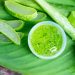 Aloe vera, këto janë të mirat që mund t’i fitoni nga kjo bimë