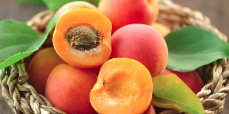 Kajsia, frut i vogël por më veti shëruese brenda saj