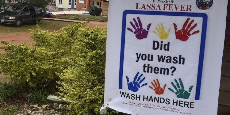 Çfarë janë ethet Lassa, si transmetohen dhe cilat janë simptomat?