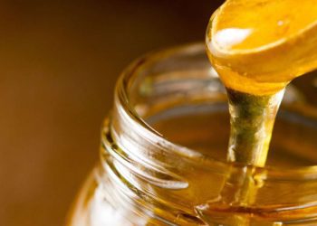 Cilat janë të mirat që fitojmë nga mjalti i tërfilit?