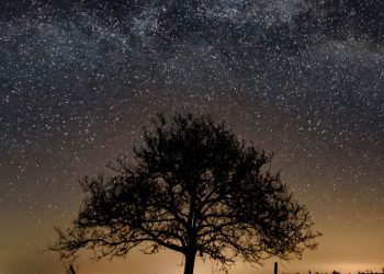 A e dini se disa yje nuk fiken kurrë?