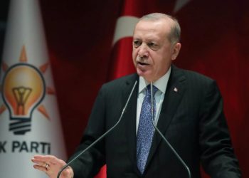 Erdogan: Ukraina dhe Rusia kanë arritur një mirëkuptim për 4 tema