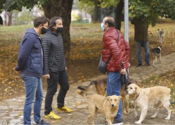 Bajqinovci: Problemi i qenve endacakë s’mund të zgjidhet veç nga komuna