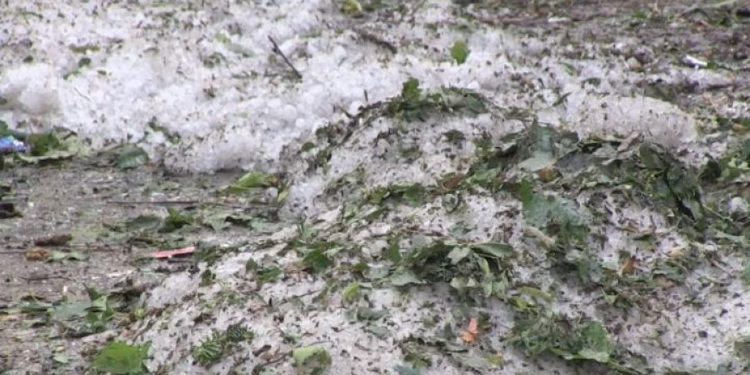 Stuhi të forta në Zvicër, kokrrat e breshrit kanë arritur një madhësi të konsiderueshme