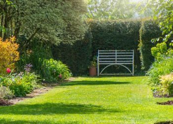 Çfarë duhet të bëni së pari për kujdesin ndaj kopshtit në fillim të stinës së pranverës?