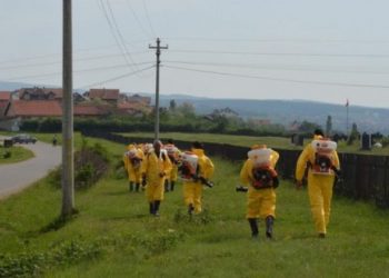 Malisheva nuk gjen rehatinë nga rriqërat, brenda disa ditëve 267 pickime