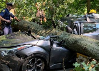 Gjermani: Nga stuhitë e forta vdesin 2 persona