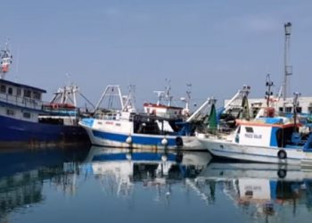 Kriza e peshkimit në Shqipëri, shkak rritja e çmimit të naftës