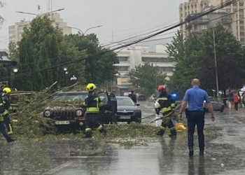 Niset për shërim jashtë vendit 35-vjeçarja që u lëndua rëndë nga rrëzimi i lisit në Prishtinë