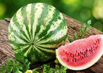 Vera bashkë me shalqirin erdhi por ja si ta dalloni a është i pjekur para se ta blini