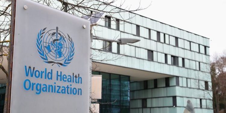 Lija e majmunit zgjon shqetësim tek OBSH-ja