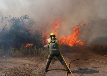 Portugalia po “digjet”, tym e flakë dhe temperatura 43 gradë Celcius