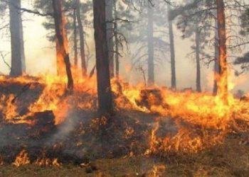 Sa është e rrezikuar Shqipëria nga vatrat e zjarrit?