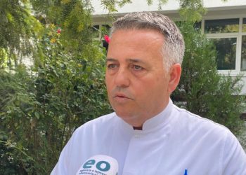 Vishaj flet për pasojat e koronavirusit, asnjë rast me Linë e Majmunëve në Kosovë