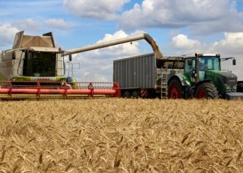 Ani pse luftë, Ukraina ka vazhduar eksportimin e 563 mijë ton të produkteve bujqësore që nga fillimi gushtit