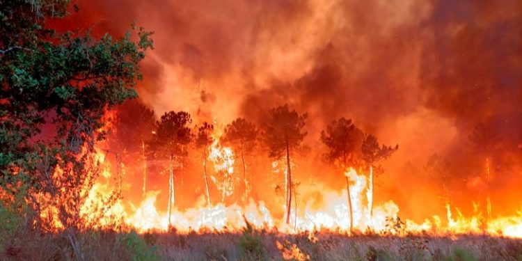 BE i del në ndihmë Francës me avion për ta luftuar zjarret