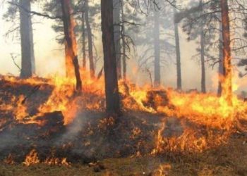 Shqipëria nën flakët e 34 vatrave të zjarrit