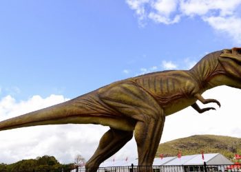 Zbulohet dinozauri më i vjetër në Afrikë, rreth 230 milionë vjet më parë