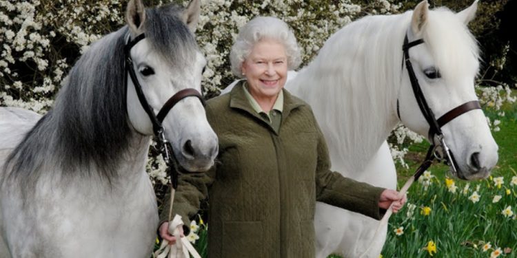 Detaj i pazakontë nga jeta e Elizabeth II: Çfarë bënte mbretëresha kur fitonte bastin