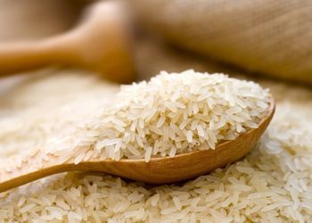 Pse Kina po kultivon oriz në Mars?