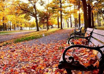 23 shtatori dita e parë e vjeshtës