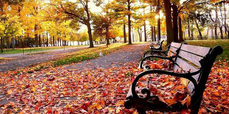 23 shtatori dita e parë e vjeshtës