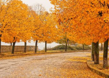 Edhe pak ka mbetur deri në vjeshtë, ja pse duhet ta duani këtë stinë