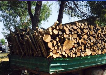 ASK: Në Prishtinë një metër dru po shitet nga 50 deri 67 euro