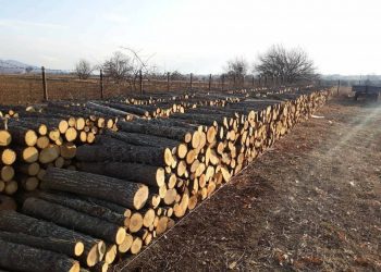 Si mund të përfitoni nga subvencionimi i qeverisë për ngrohje efiçiente?