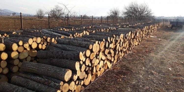 Si mund të përfitoni nga subvencionimi i qeverisë për ngrohje efiçiente?